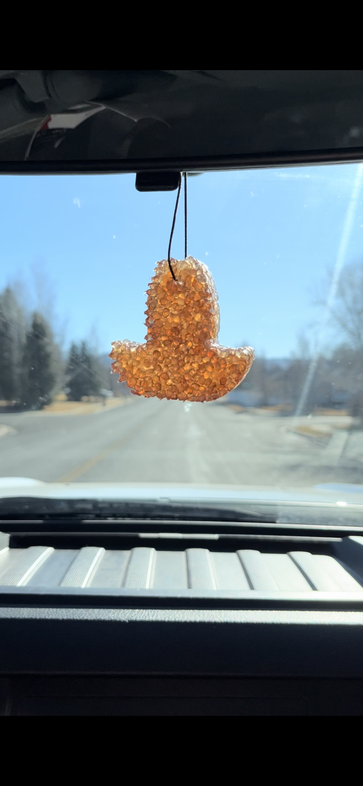 Scent: LEATHER, Custom Car Freshener